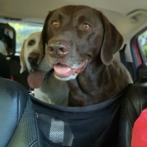 Meet your Posher, Kathryn